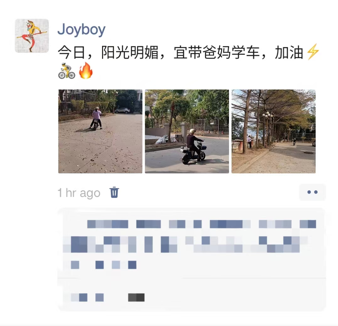 learning electric bike